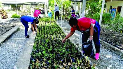 Contará con el apoyo de la alcaldía, Unah Cortés, UTH y Ceutec.