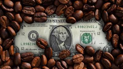 El café es uno de los mayores aportantes al PIB agrícola.
