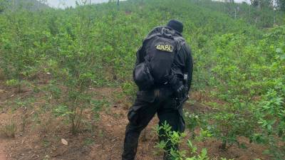 Agente de la DNPA en el Parque Nacional Patuca.