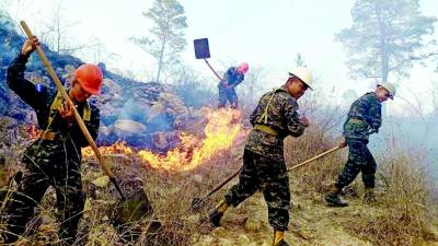 El tercer batallón verde proporciona asistencia a las cuadrillas municipales. Foto: LA PRENSA