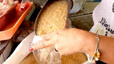 Buscan mejora del arroz, maíz y lácteos en el DR-CAFTA