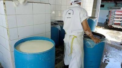 Un hombre que trabaja en una empresa que procesa leche | Fotografía de referencia