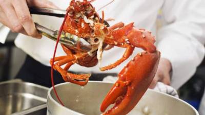 Para evitar cualquier tipo de intoxicación de los comensales se implementará un cuidadoso proceso.