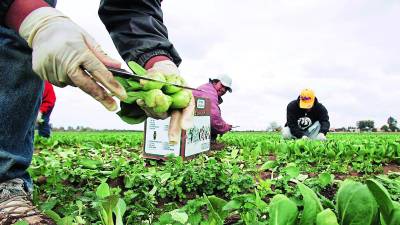 Un país capta dólares para nutrir las reservas cuando exporta mercancías, obtiene remesas, también, por medio de deuda.