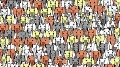 Foto cortesía Playbuzz.