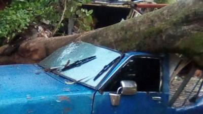 El carro Isuzu azul es propiedad de Elida Delgado Pérez.