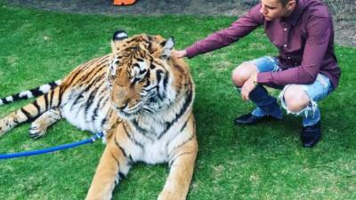 El cantante mientras acaricia al tigre.