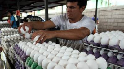 El consumo diario de huevo en el país es de 10,000 cajas.