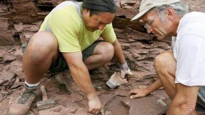 Según científicos, este hallazgo puede ayudar a comprender mejor el proceso del ciclo del carbono entre el suelo y la atmósfera en escalas temporales geológicas de un millón de años. EFE/Archivo