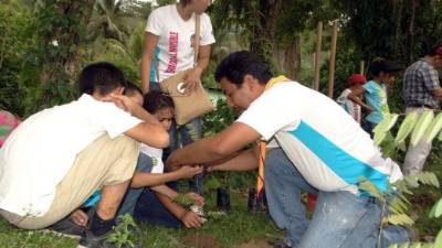 Los jóvenes con maestros siembran árboles.