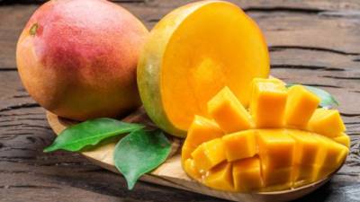 Los mangos contienen almidón que posee bondades fisiológicas como regulador del colesterol en sangre.