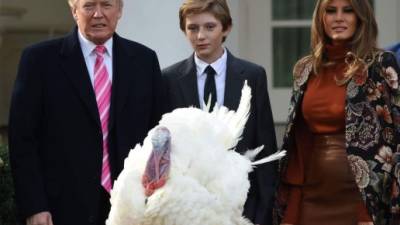 Trump, Melania y Barron posan junto a Drumstick, uno de los pavos indultados por el presidente estadounidense por el Día de Acción de Gracias.