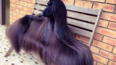 Esta es la foto de Tea que se hizo viral en Facebook.