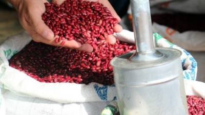 El Gobierno comprará el quintal de frijol a mil lempiras