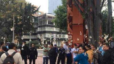 Decenas de personas tomaron el dinero colgado en varios árboles en Bogotá.