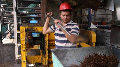 Honduras está en la lista de países certificados en RSPO.