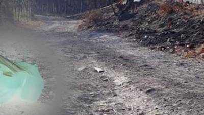 Se desconoce la identidad de la víctima.