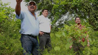 Con la limpieza de canales de mitigación en La Lima protegerán al municipio de las inundaciones.