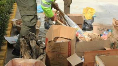 El producto fue llevado a las instalaciones de la Policía Municipal en el barrio Las Palmas.