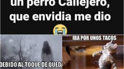 Para liberarse un poco de la tensión por la crisis que atraviesa Honduras, en las redes sociales muchos se han tomado con buen sentido del humor el toque de queda que se ha decretado por 10 días. No te pierdas los mejores memes.