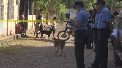 Autoridades en el reconocimiento.