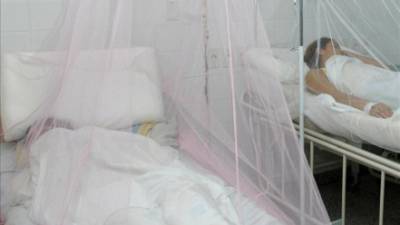 En Centroamérica y México han muerto al menos 60 personas por dengue hemorrágico en lo que va de año y 158.164 han contraído esa enfermedad, con México y Costa Rica como los países más afectados, según la Unión Europea. EFE/Archivo