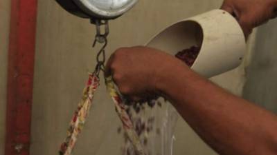 Los productores pueden vender alimentos básicos, como los frijoles.