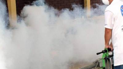 La fumigación se realiza en el casco urbano.