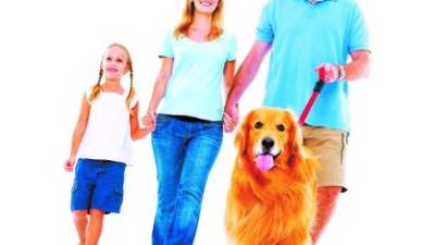 Sacar a caminar por la mañana o tarde a su perro es un beneficio para usted también, ya que le permite ejercitarse.