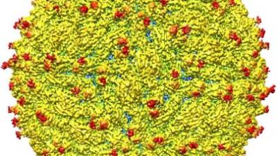 El primer mapa tridimensional del virus del Zika.