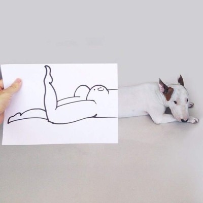 Jimmy Choo, el perro más divertido y popular de Instagram  