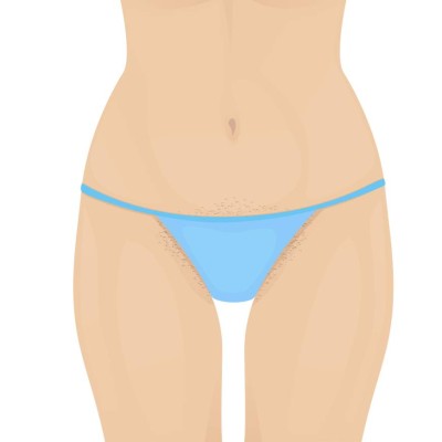 female torso in a blue bikini, the hair in the bikini area