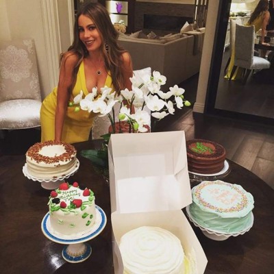 Sofía Vergara celebró su cumpleaños 43