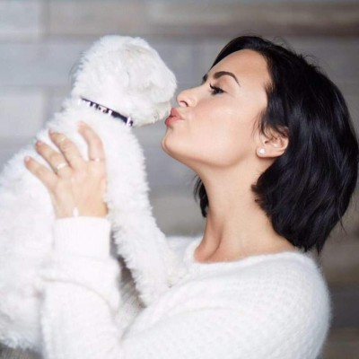 Famosos que dijeron adiós a sus mascotas en 2015