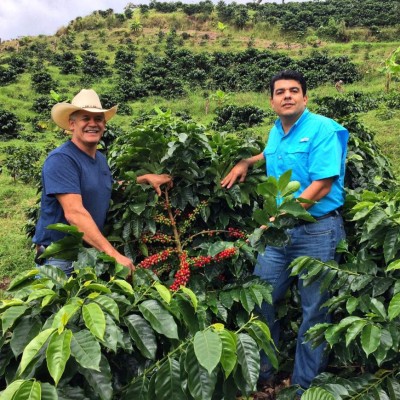 App para pequeñas empresas agrícolas