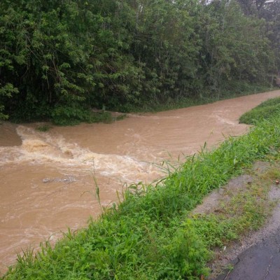 Lluvias dejan varios damnificados en Tela y Trujillo