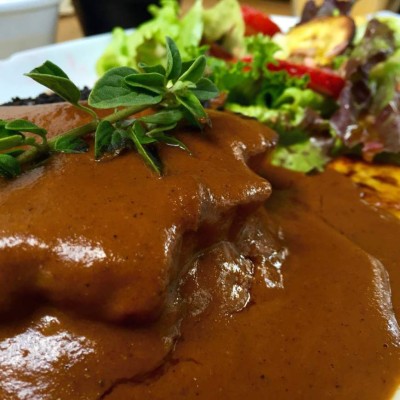 Disfrute del cerdo en mole rojo casero