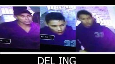 Es la imagen que circula en redes sociales sobre el asesinato del docente.