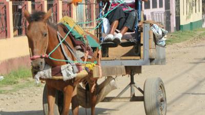 Melkin Cabrera se las ingenia para trabajar a pesar de su condición física.