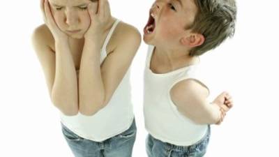 Los insultos, las burlas y los actos físicamente violentos son parte del acoso.