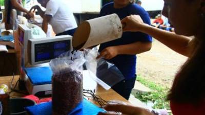 El personal del Banasupro de la Suazo Córdova pesó ayer los frijoles y otros productos.