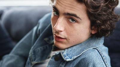 El actor y modelo Timothée Chalamet es nombrado el hombre más guapo a nivel global.