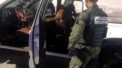 <b><span class=mln_uppercase_mln>registro.</span></b> El carro fue inspeccionado con perros antidrogas.