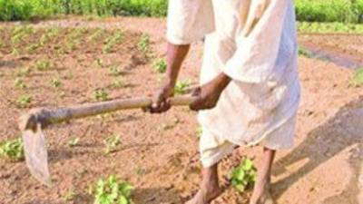 Según el BID, América Latina cuenta con el 24% de la tierra cultivable en el mundo.