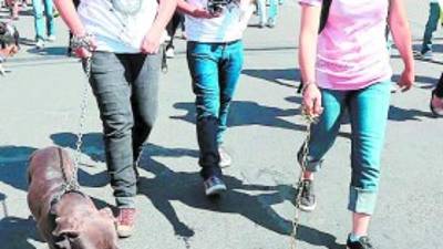 Caminata por los animales en la capital.