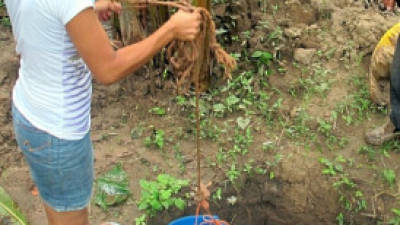 Después del terremoto los vecinos han obtenido agua de pozos y del río Ulúa.