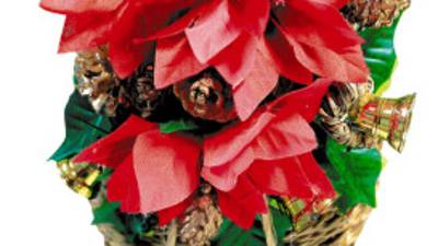 Jamaica's Usain Bolt celebrates after winning the men's 200m final at the National stadium as part of the 2008 Beijing Olympic Games on August 20, 2008. Bolt broke the men's 200 metres world record here on Wednesday timing 19.30 seconds as he clinched the Olympic Games gold to add to his 100m crown. AFP PHOTO / GABRIEL BOUYS