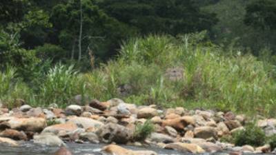los cambios climatologicos en en el merendon como afectan el clima en las montañas ,reportaje sobre la conservacion y manejo de la cordillera del merendon ala altura de san pedro sula 30 de mayo de 2013,fotos guilmor garcia