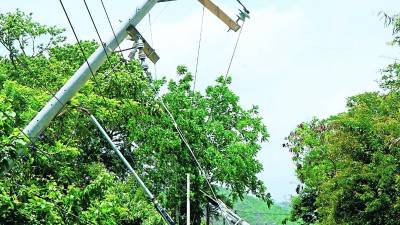 Los empleados de la EEH llegaron ayer en la mañana a reparar los dos postes dañados por el pesado vehículo. Foto: Amílcar Izaguirre