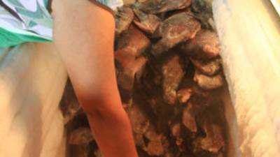 Cientos de libras de pescado venden a la semana en los centros de acopio.